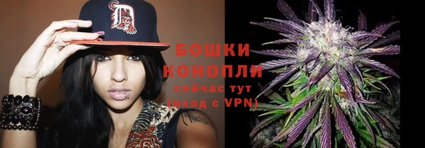 МДПВ Волосово