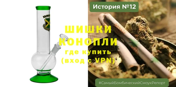 гашик Верея